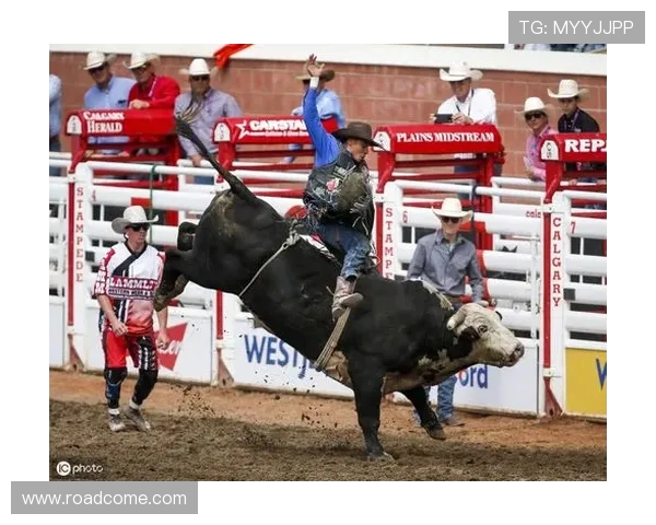 2019年公牛与骑士对决全面分析与赛果预测