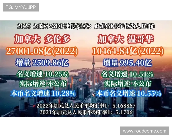 多伦多与温哥华比赛结果分析及精彩瞬间回顾