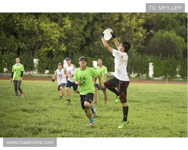 成都飞盘队防反战术解析与实战运用全方位解读