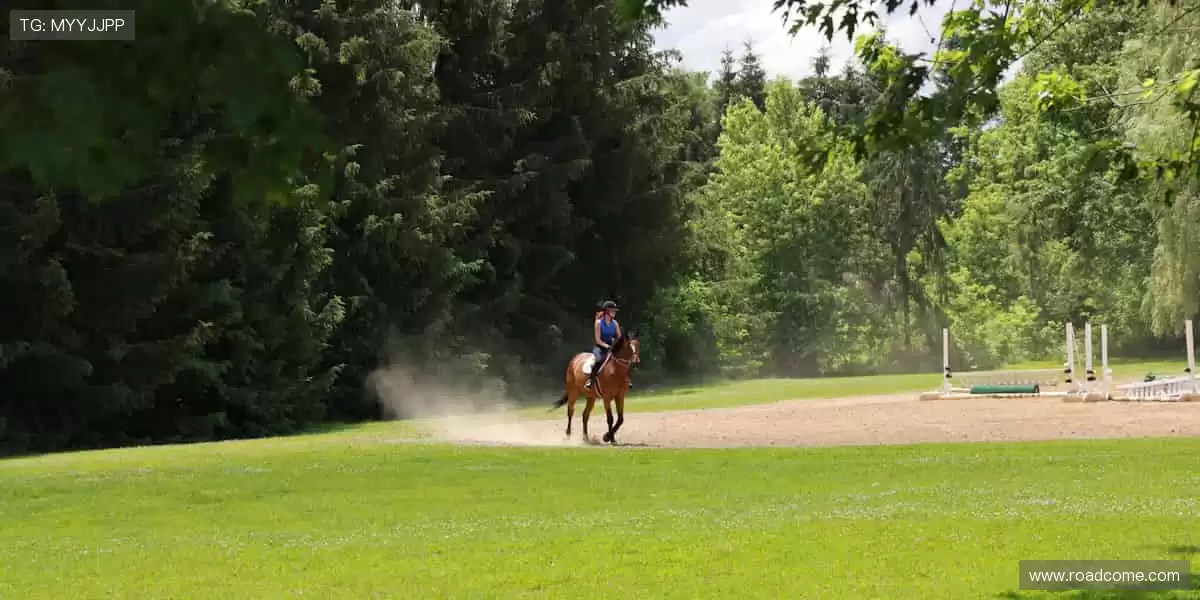 ⚽赛事预告，提前锁定你的热爱！📅